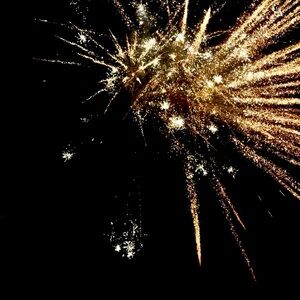 Meet your Posher, Gunika